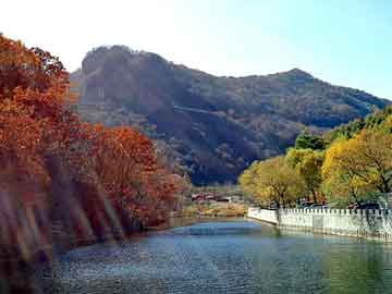 澳门二四六天天彩图库，友谊seo服务